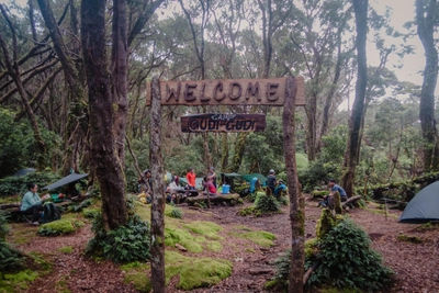 Mt. Apo Camp im Mooswald