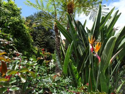 Madeira Natur