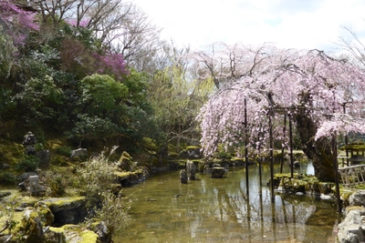 Chikurin Garten in Yoshino