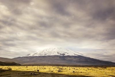 Vulkan Cotopaxi_3