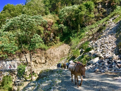 Mulikarawane bei Ghaskharka