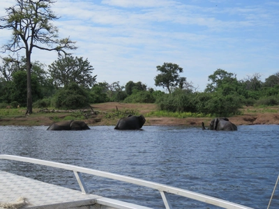 Botswana-Chobe-Riverfront-Boat-Safari