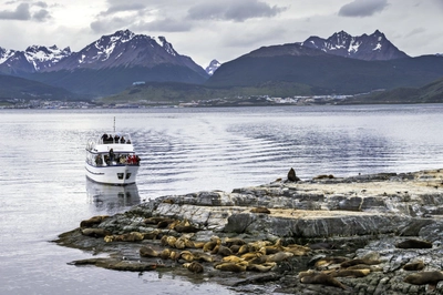 Beagle Channel cruise observing Sea Lion colony Ushuaia Tierra Del Fuego Patagonia Argentina