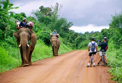 Drahtesel trifft Reitelefant