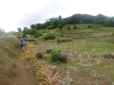 Lion Mountain Wanderung Mauritius