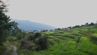 Grüne Terrassen in Swanta