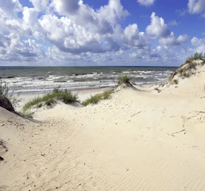 Litauen Kurische Nehrung Strand Duene_2