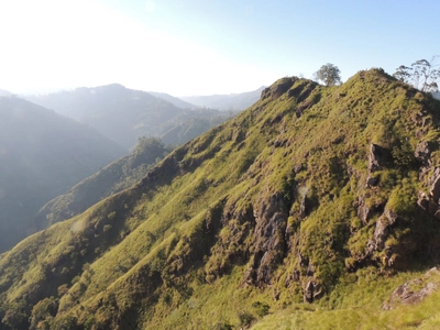 Ausblick Littel Adams Peak