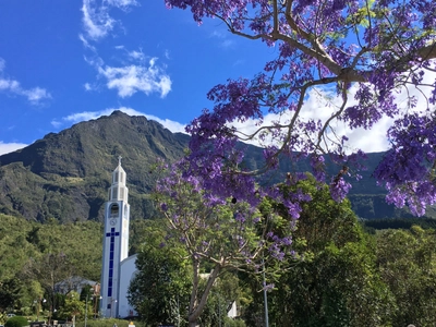 Kirche von Cilaos zur Jacarandablüte