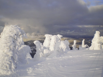 Schneeschuhgehen Baerischer Wald Eisbaeume 3