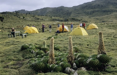 Major´s Camp, Mt. Kenya