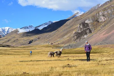 Pampachillca Peru