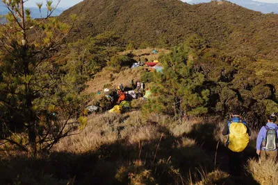 Mt. Pulag Camp