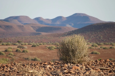 Namibia-Natur-nahe-Palmwag