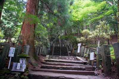 Nikko Schrein Wald