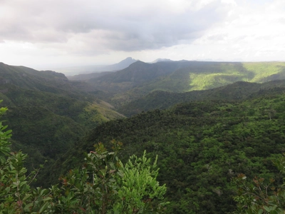 Black River Gorges Nationalpark