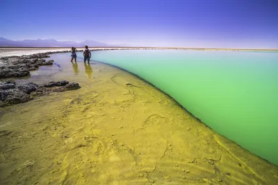 Laguna Cejar aka floating salt lake lagoon Atacama Desert North Chile