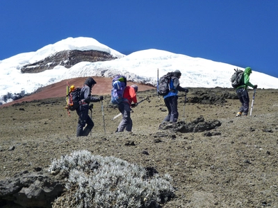 Avenida de los Volcanes 2013_2