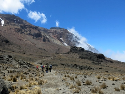 Tansania-Zwischen-Shira-und-Barranco-Camp-(Aufstieg-zum-Lava-Tower-2