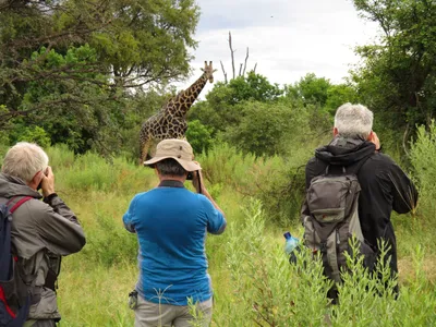 Botswana-Walking-Safari-Okavango