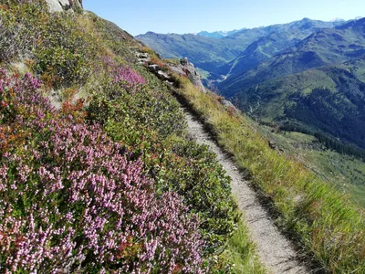 Österreich Alpen Tuxer Voralpen