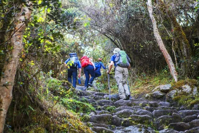 Wandergruppe auf dem Inka Trail_2