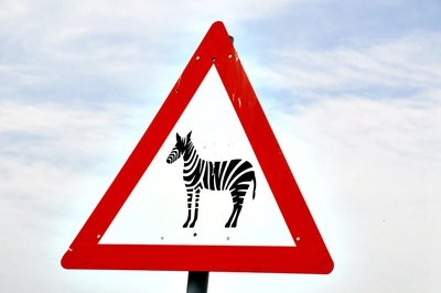 Verkehrsschild mit Zebra_2