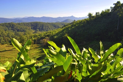 Blick vom Homestay in Nordthailand