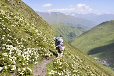 Genusstrekking in Georgien