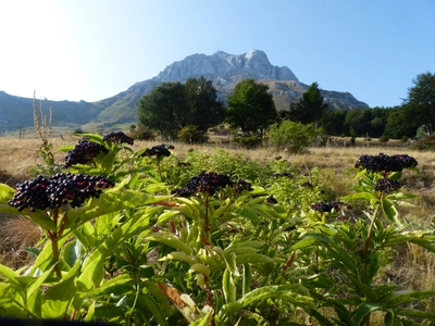 Prati di Tivo bei Val Maone