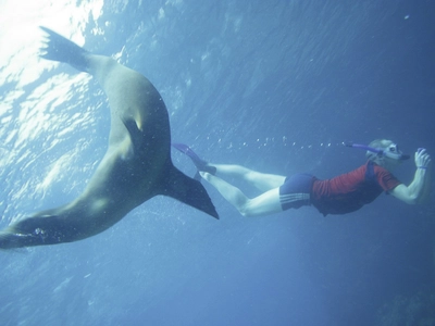 Schnorcheln auf Galapagos