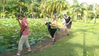 Pamplemousse Botanical Garden Mauritius