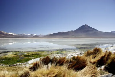 Hochlandlagune Atacamawüste ChileHochland Lagune Atacama Chile 2