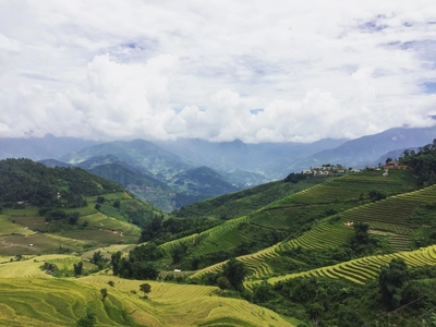 Reisterrassen in Sapa