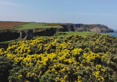 Wanderung nahe Dunseverick Castle