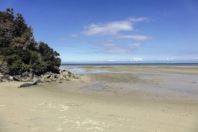 Abel Tasman Nationalpark Strand bei Ebbe