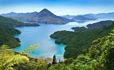 Fjordlandschaft