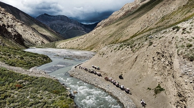 Yak-Karawane Dho Tarap