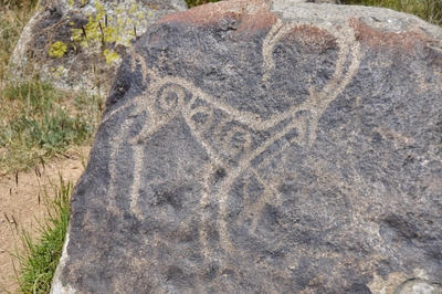 Petroglyphe