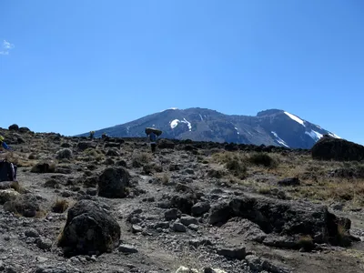 Tansania-Zwischen-Shira-und-Barranco-Camp-(Aufstieg-zum-Lava-Tower)