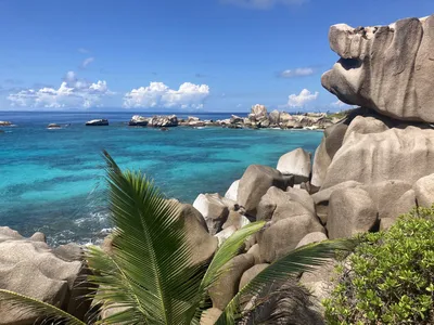 Anse Marron La Digue