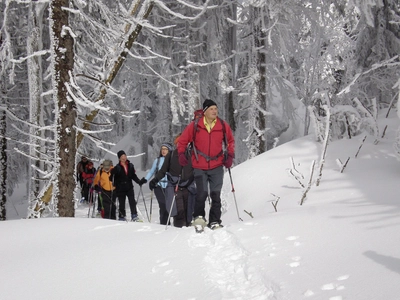 Schneeschuhgehen Bayerischer Wald 3