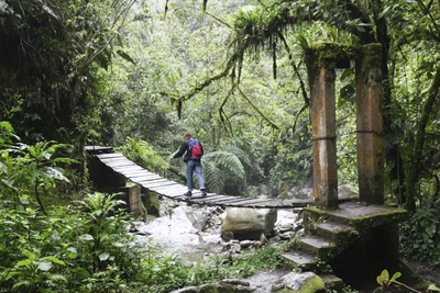 Cocora Tal