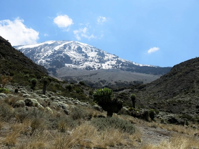 Tansania-Zwischen-Barranco-und-Barafu-Camp-(vor-Karanga-Camp)