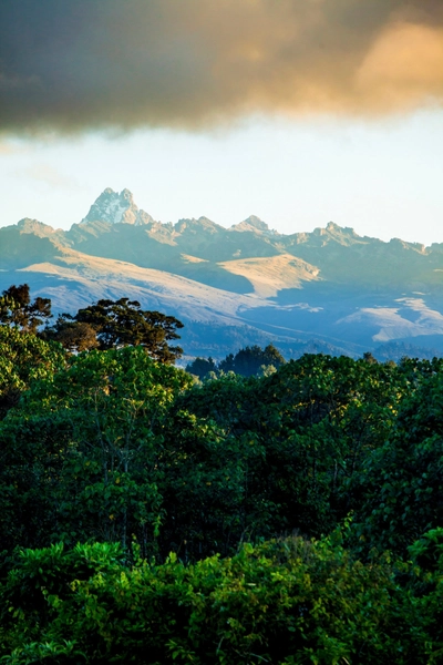 Regenwald und Mount Kenya